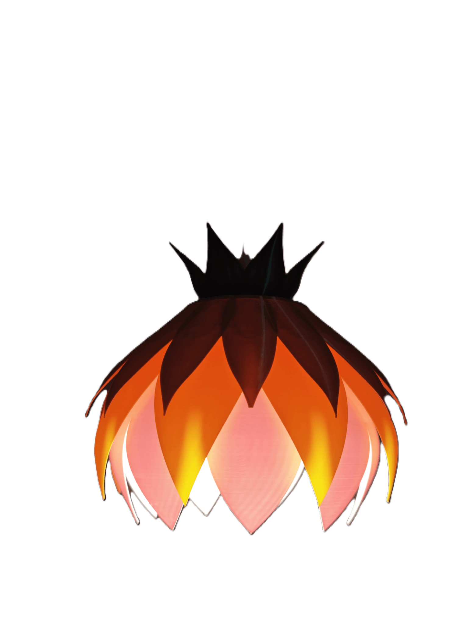 Lotus Bloom